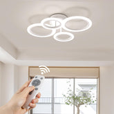 Ceiling light fixture with remote control in a room with a window and plant.