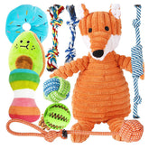 Speedy Panther 10 Pack Luxury Puppy Teething Toys Set