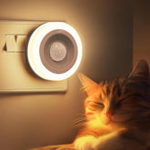 Cat lying next to a motion sensor light on a wall