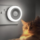 Cat next to a motion sensor light on a wall