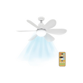 Ceiling fan light with remote
