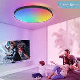 12-Inch Flush Mount LED Light with App Control