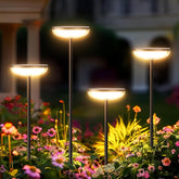 Garden lights illuminating a flower bed with a blurred background