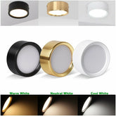 LED Surface Mounted Ceiling Panel Light