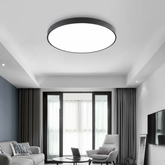 Modern living room with a ceiling light fixture