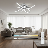 Modern living room with a ceiling light fixture, sofa, and remote control.