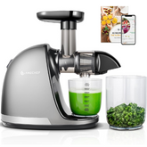 Juicer Machine – Cold Press Slow Masticating Juicer for Fruits & Vegetables, BPA Free Juice Extractor with 2 Cups & Brush