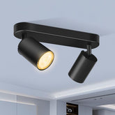 Adjustable Dual Spotlight Ceiling Fitting