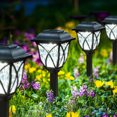 Solar garden lights in a garden with flowers