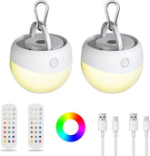 Two portable LED lights with remote controls and charging cables on a white background