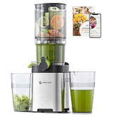 Cold Press Juicer Machine Slow Juicer 145mm Large Chute Stainless Steel