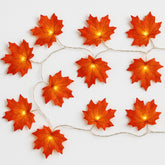 Modern White LED String Lights 3m 20 Warm White Lamps