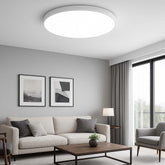 Modern Flush Mount LED Ceiling Light Waterproof Light - 36W