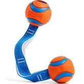 Chuckit Ultra Tug Duo Interactive Dog Toy Medium