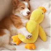 Speedy Panther Plush Duck Dog Toy 35CM