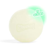 Chuckit! Glow in the Dark Dog Ball - Large
