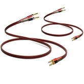 2 Pack High-end Pure Copper HIFI OFC Speaker Wire Cable with Banana Plug, 4m Gold-Plated Banana Tip Plugs Male to Male 600 Strand 14 AWG Audio Speaker HIFI System Home Theater 13.12FT