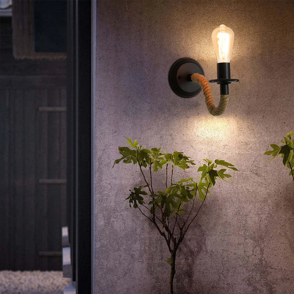 Wall-mounted light fixture with a plant in front on a textured wall.