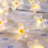Warm white flower LED fairy lights with pastel petals, 2.4m battery operated