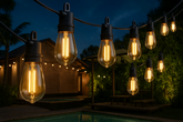 IP65 Weatherproof Festoon Outdoor Lights 30M