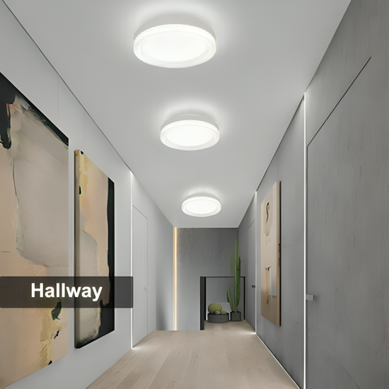 36W Surface Mounted Round Square Modern Led Ceiling Light