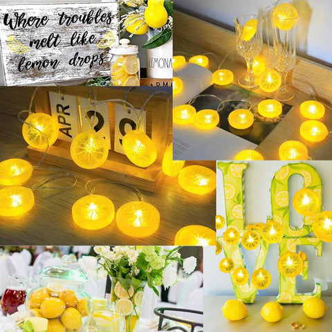 Lemon Slice Lights,120inch Long,Battery Power,Flexible Rope String Fairy LED, Warm Yellow for Christmas - thelights4u.com