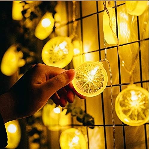 Lemon Slice Lights,120inch Long,Battery Power,Flexible Rope String Fairy LED, Warm Yellow for Christmas