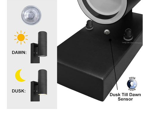 Outdoor wall light providing ambient and directional illumination

