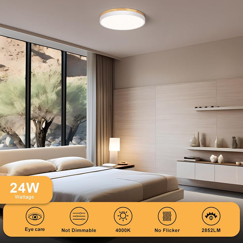 Energy-efficient 24W ceiling LED


