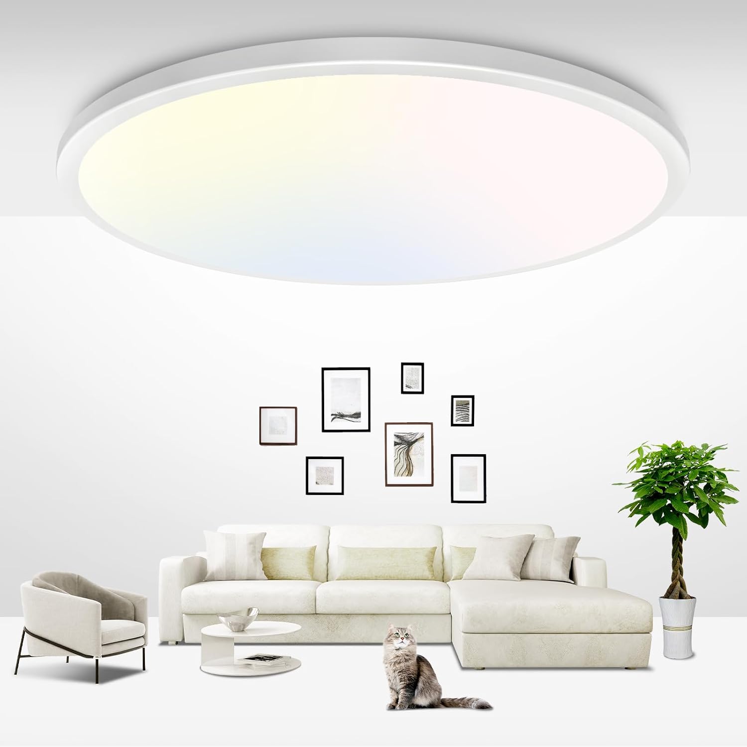 Ceiling light with warm white option