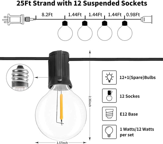 LED String Lights Remote Control, 25Ft/7.6M Festoon Lights Mains Powered with 12+1 Shatterproof G40 Bulbs
