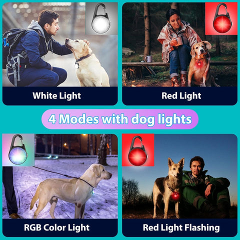 2 Pack LED Dog Collar Lights – Rechargeable Clip-On Pet Safety Lights with RGB Modes, Waterproof & Lightweight for Night Walking