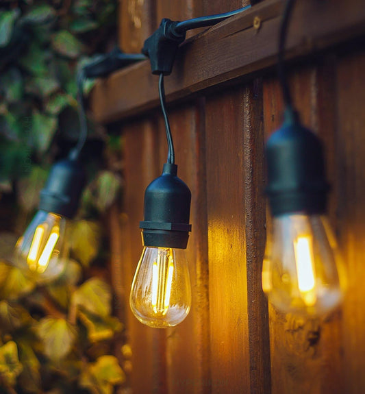 Outdoor String Lights - Festoon Lights - Garden Lights with 12 Shatterproof LED Bulbs, 33-Ft/10M