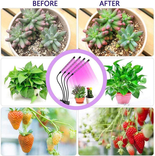 4-Head Plant Grow Lights Full Spectrum for Indoor Plants, 80 LEDs  Clip-On Desk Grow Lamp  Auto ON & Off with 3/9/12H Timer