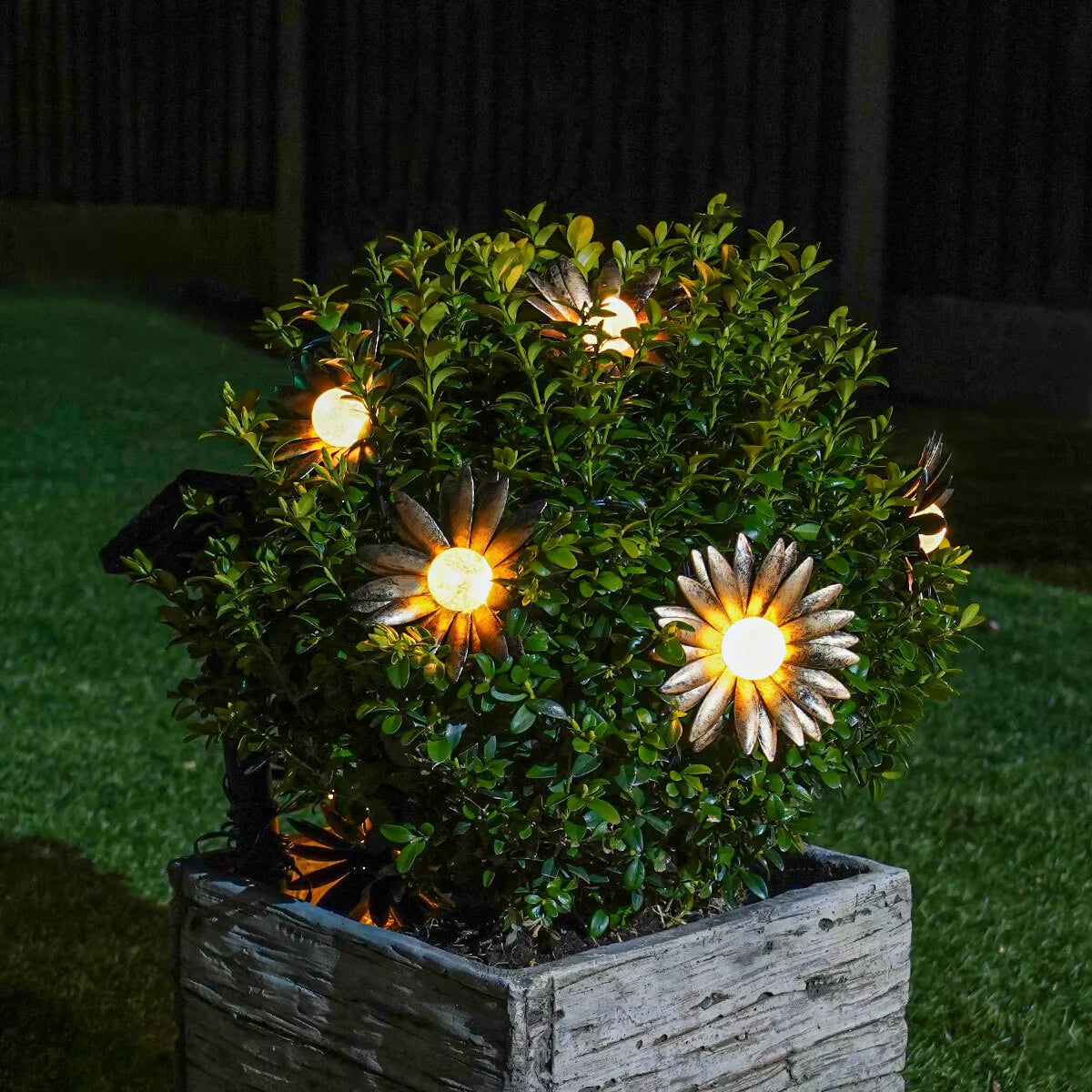 Solar fairy lights wrapped around a tree

