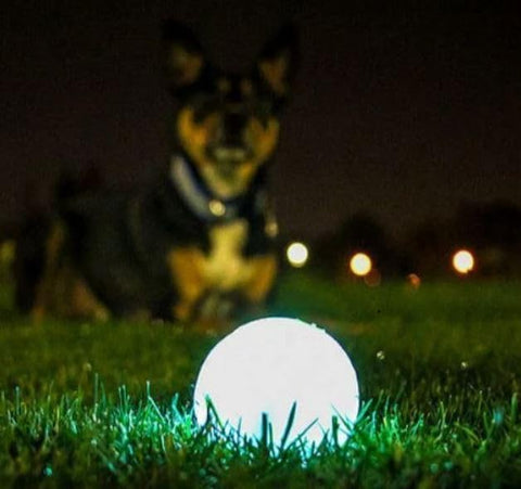 Chuckit! Glow in the Dark Dog Ball - Large