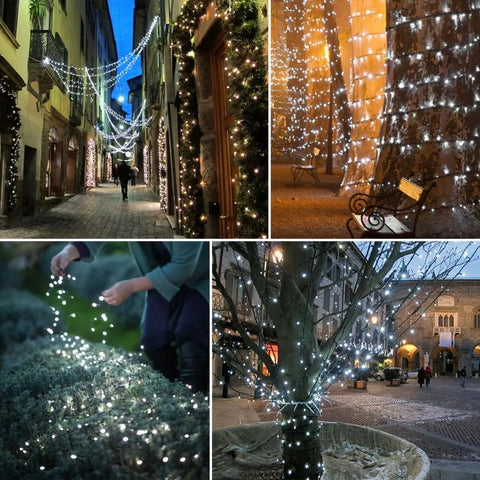 500 LED fairy lights wrapping around a tree trunk

