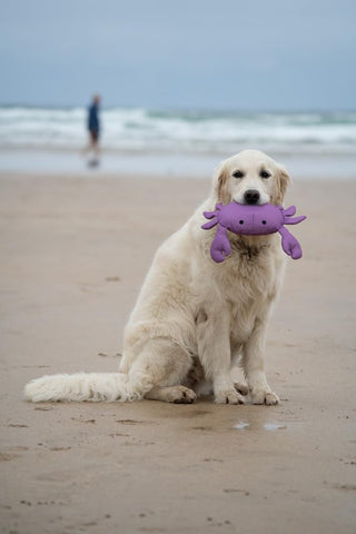 Petface Planet Ocean Callum Crab Plush Dog Toy