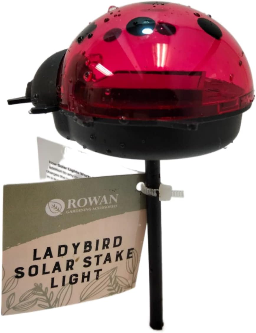 Ladybird Solar Stake Light Garden Lawn Pathway Lighting Ornament Unique Decor (Pack of 1)