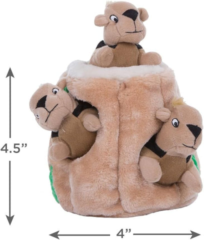 Outward Hound Squirrel Dog Toy - Plush Hide and Seek Interactive Toy