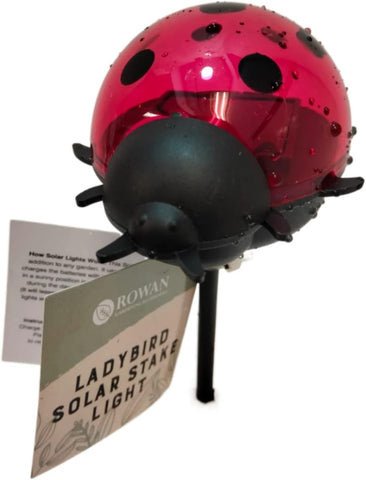Ladybird Solar Stake Light Garden Lawn Pathway Lighting Ornament Unique Decor (Pack of 2)