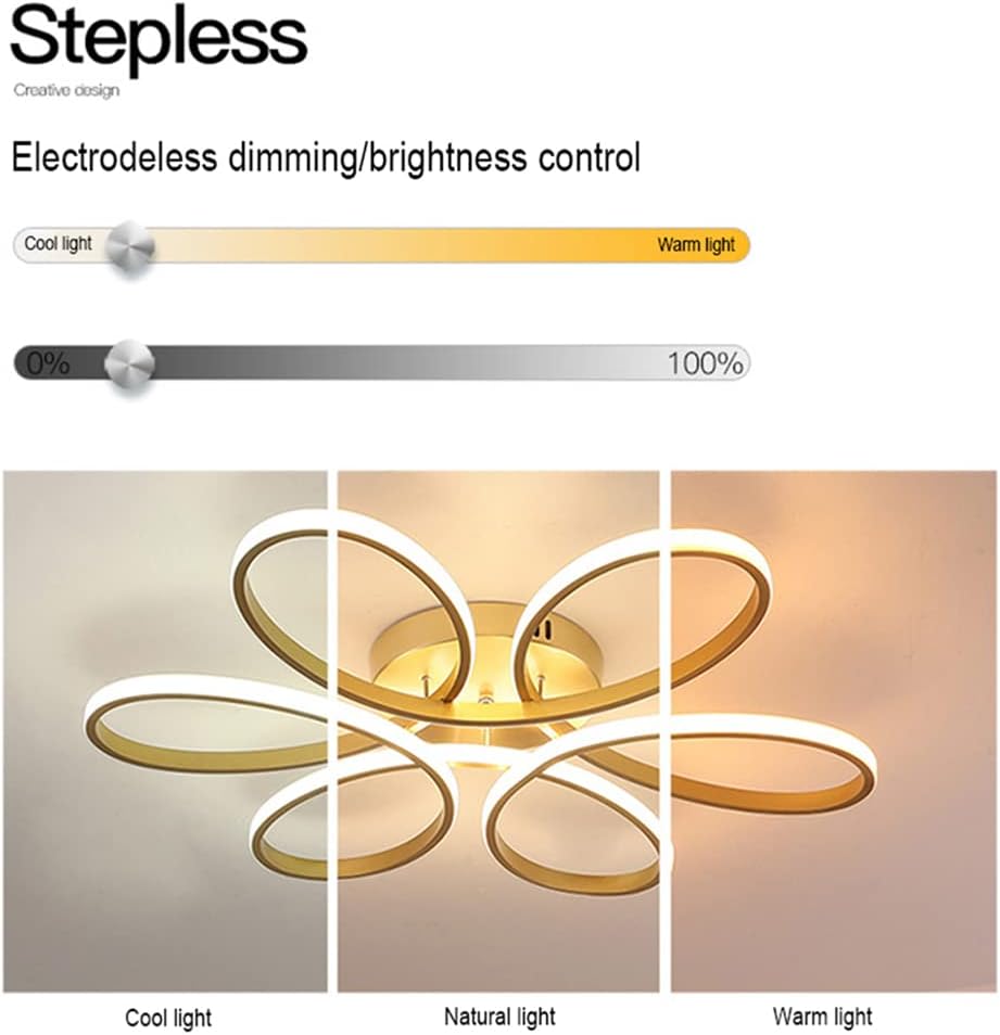 Ceiling light fixture with electrodeless dimming/brightness control display on a white background.