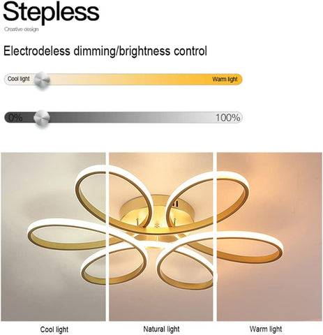 Ceiling light fixture with electrodeless dimming/brightness control display on a white background.