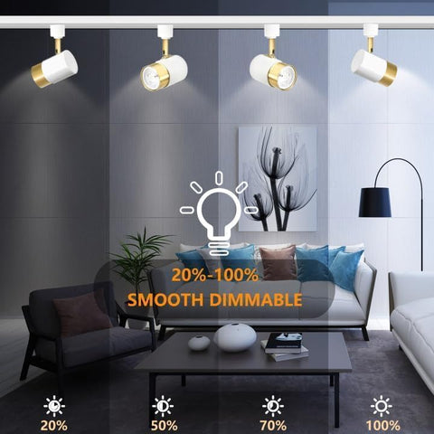 Living room with dimmable track lights and a sofa.