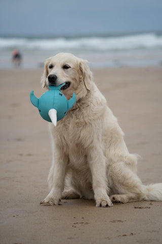 Petface Planet Ocean Niya Narwhal Plush Dog Toy