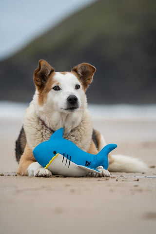 Salina Shark Plush Dog Toy