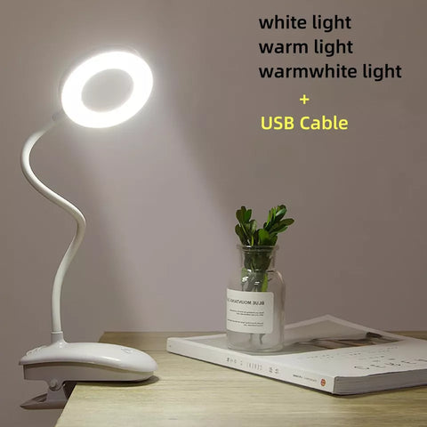 Lamp providing mild white light in a home office.


