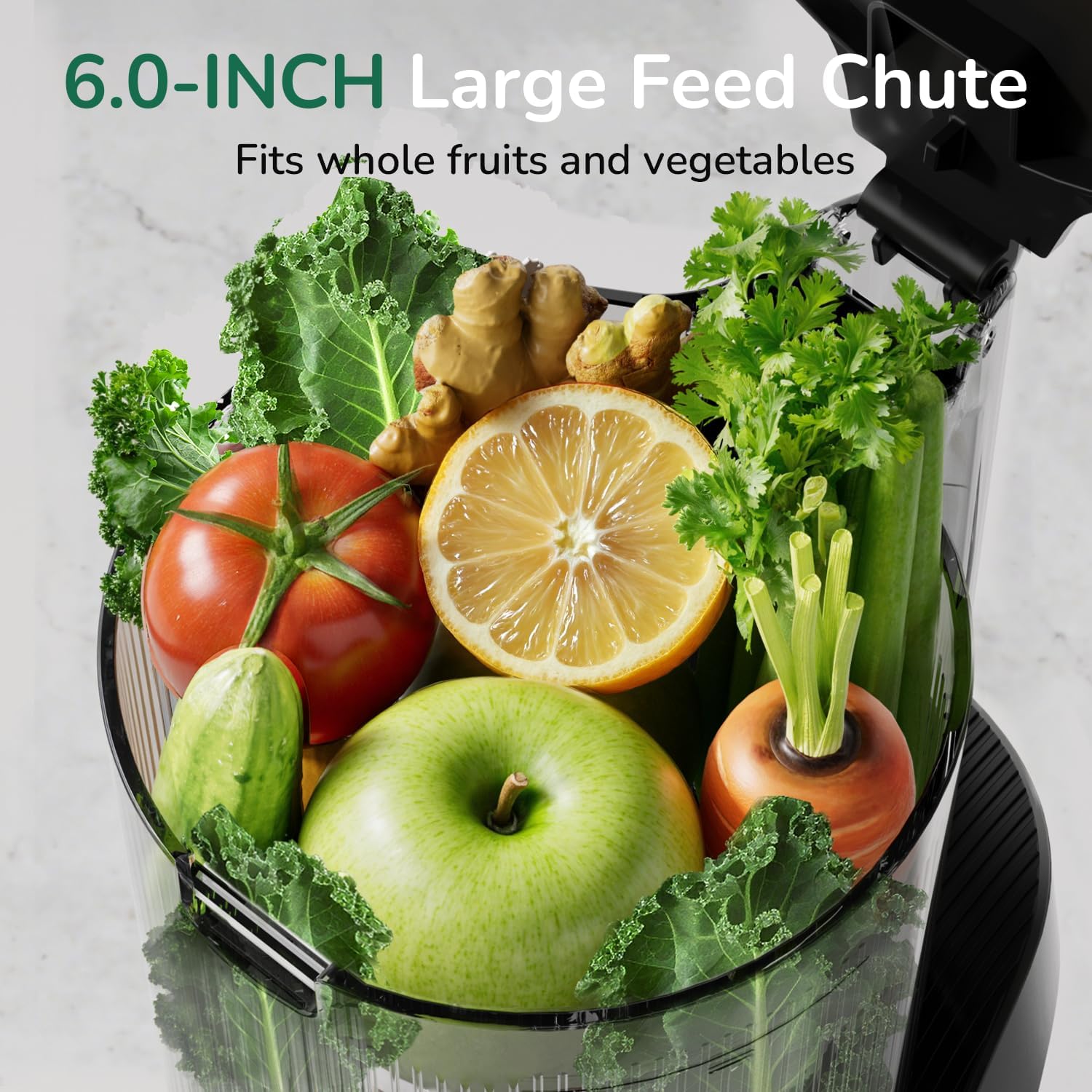 6.0-inch large feed chute with fruits and vegetables on a light gray background