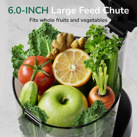 6.0-inch large feed chute with fruits and vegetables on a light gray background