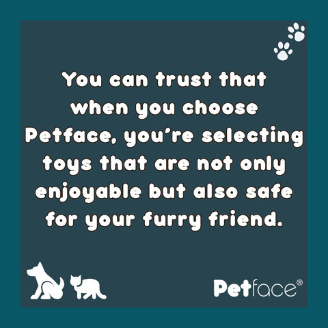 Petface Seriously Strong Nobbly Ball Dog Toy